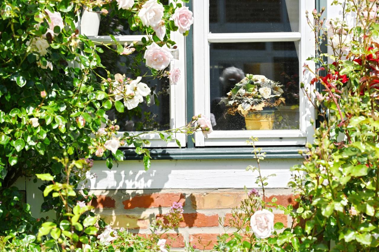 Landhaus Vilmnitz - Wohnung 10 Zewnętrze zdjęcie