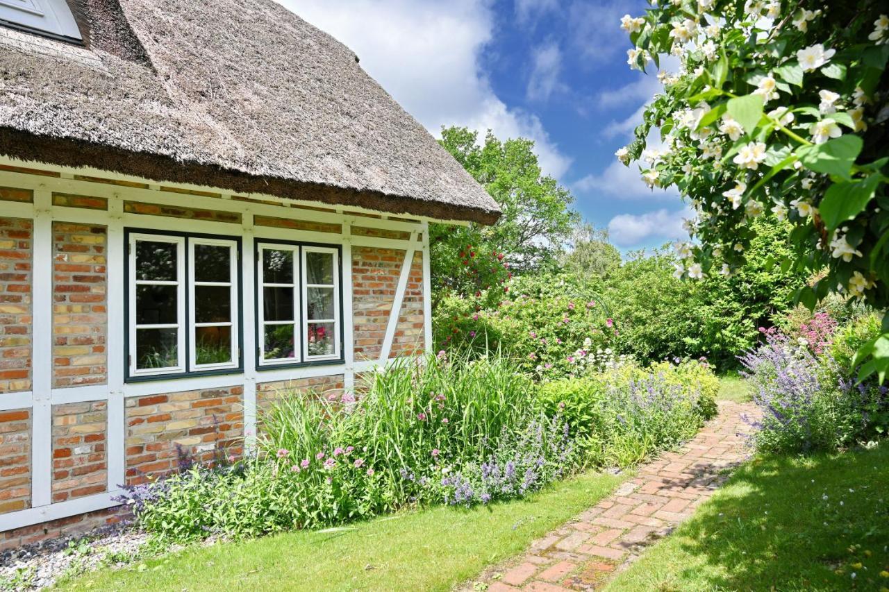 Landhaus Vilmnitz - Wohnung 10 Zewnętrze zdjęcie